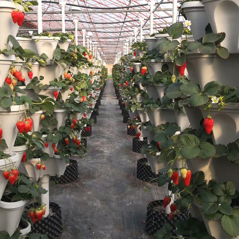 Products Stacked Pots for Growing Vegetables and Fruit