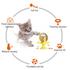 FURRY™ Rotatable Wheel Toy for Pets