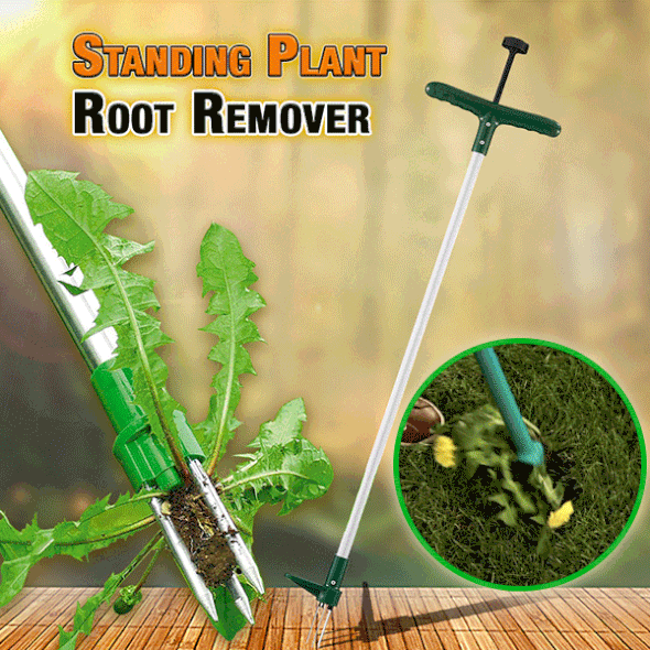 Standing Plant Root Remover – Elevaeth