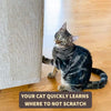 Furniture Scratch Protector